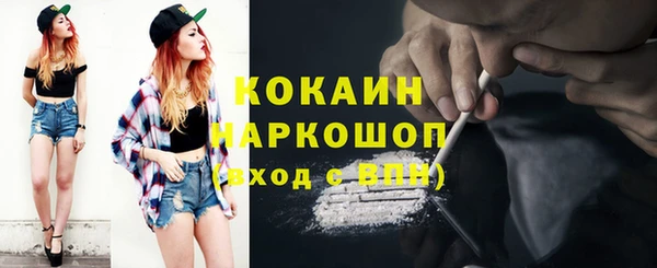крисы Аркадак