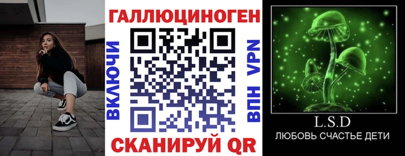 kraken ссылки  Татарск  Галлюциногенные грибы мицелий 